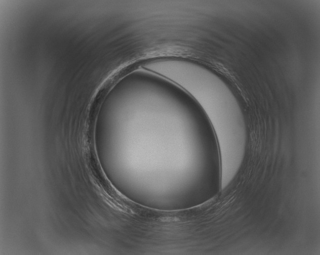 X0000052970392200507080927