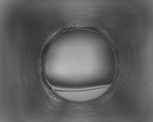 X0000052970395200507080927