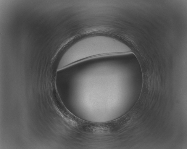 X0000052970400200507080927