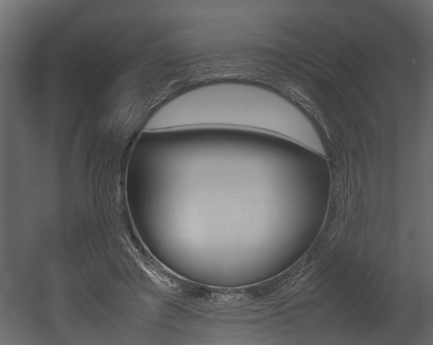 X0000052970401200507080927