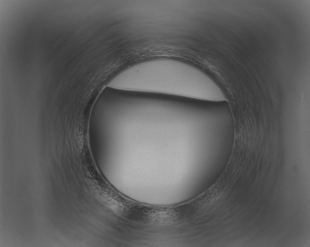 X0000052970402200507080927