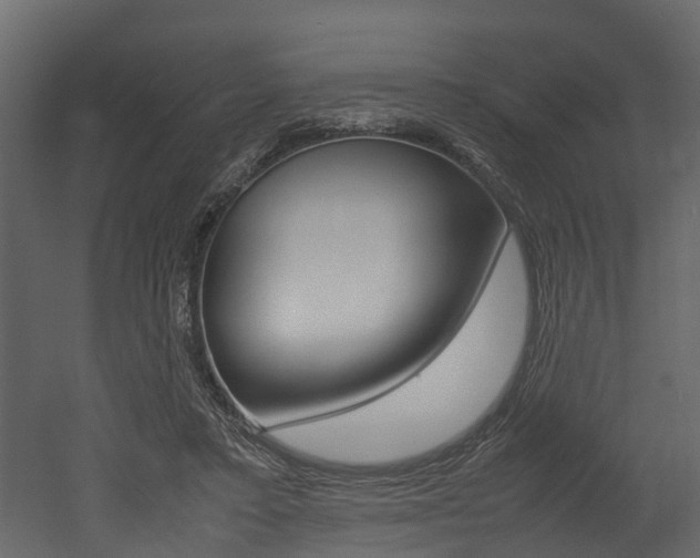 X0000052970403200507080927
