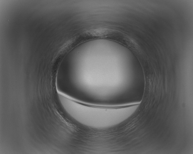 X0000052970404200507080927