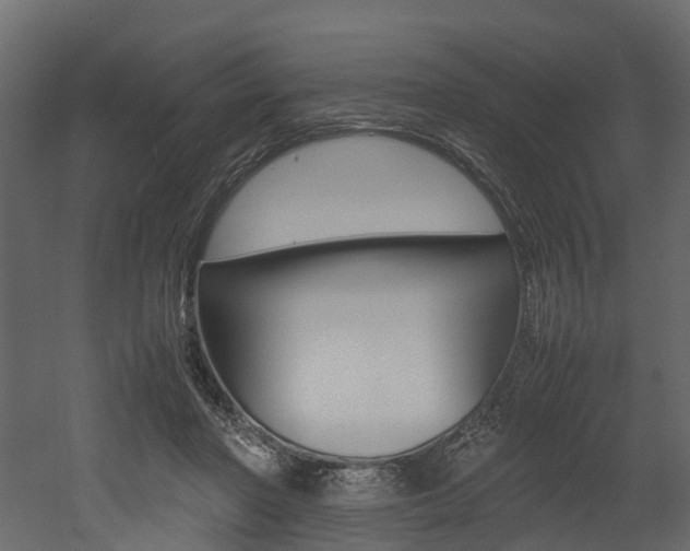 X0000052970406200507080927