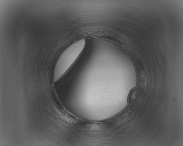X0000052970412200507080927