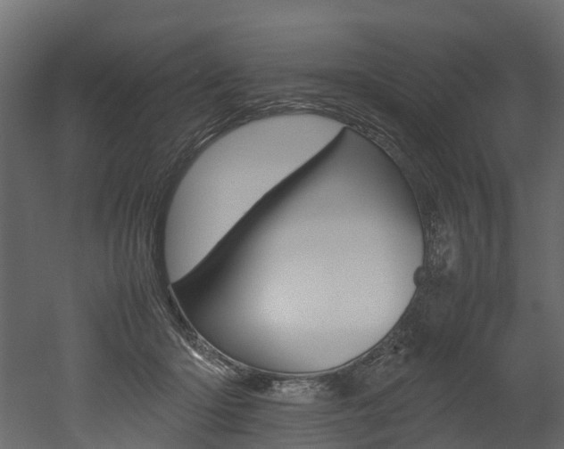 X0000052970414200507080927