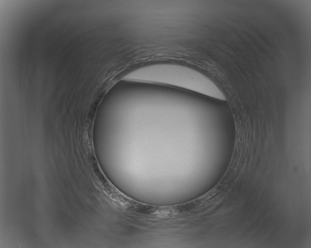 X0000052970415200507080927