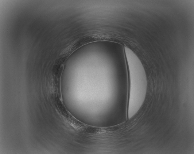 X0000052970416200507080927