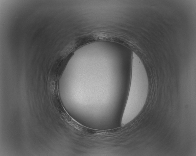 X0000052970417200507080927