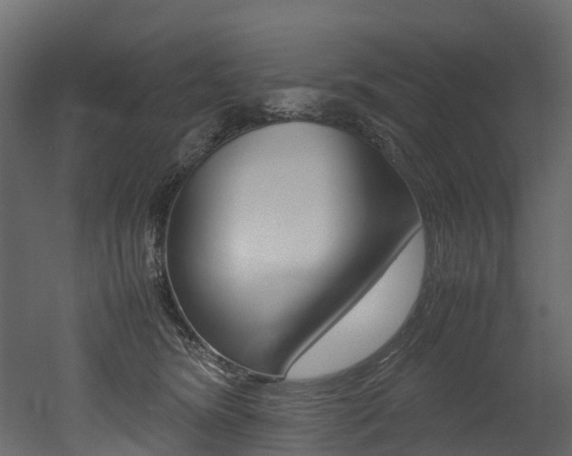 X0000052970420200507080927