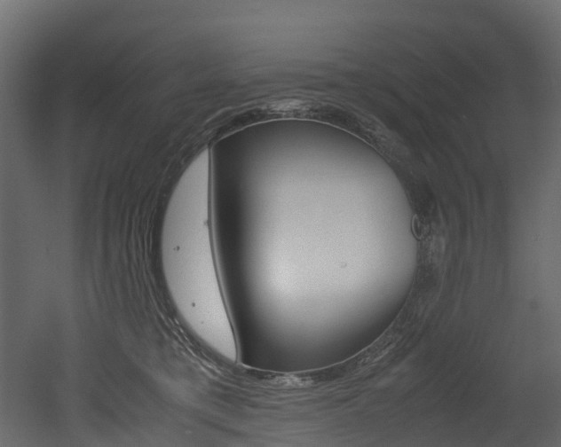 X0000052970421200507080927