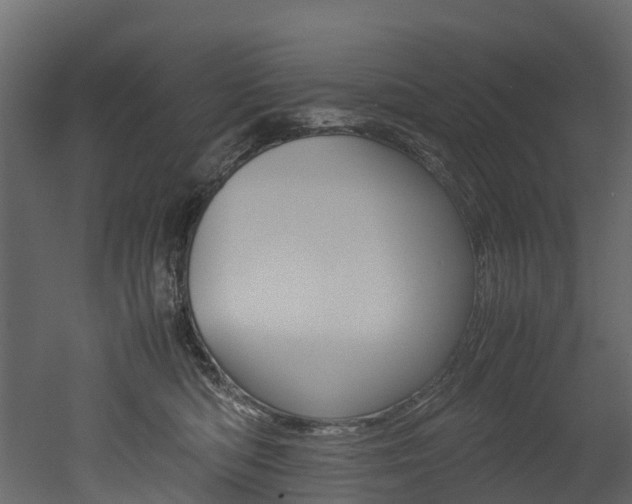 X0000052970422200507080927