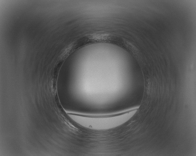 X0000052970428200507080927