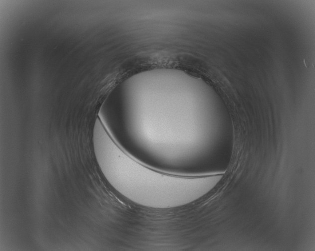 X0000052970432200507080927