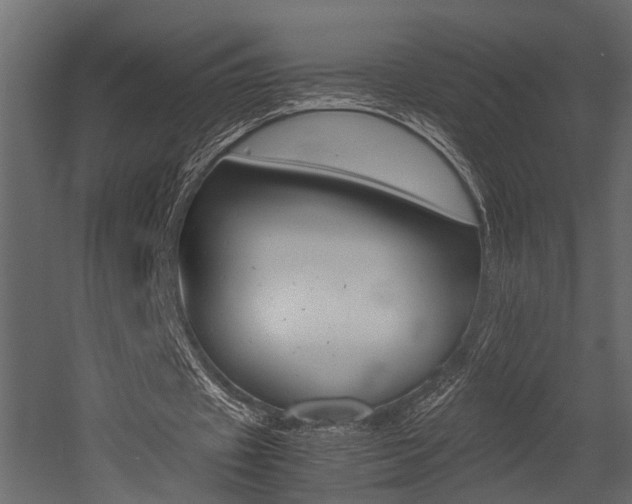 X0000052970433200507080926
