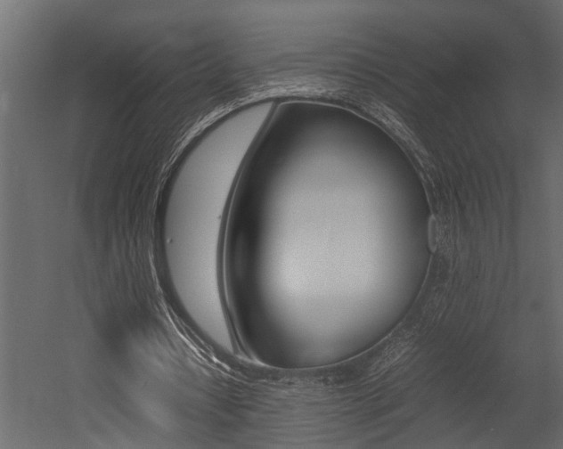 X0000052970434200507080926