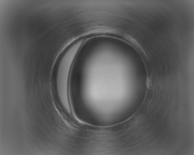X0000052970436200507080926