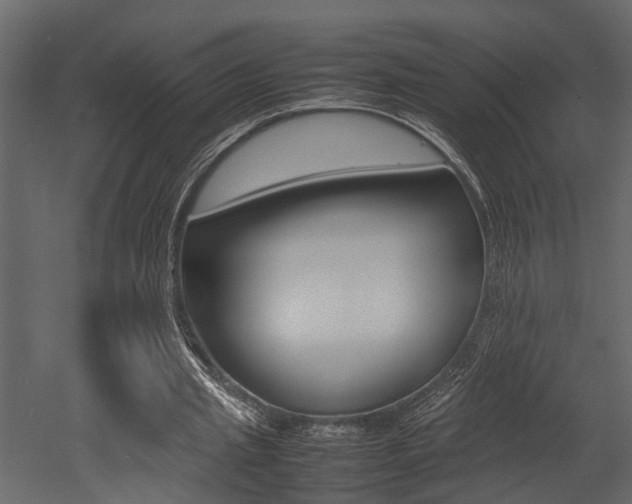 X0000052970437200507080926