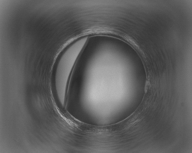 X0000052970438200507080926