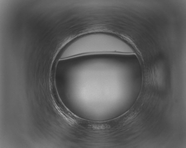 X0000052970439200507080926