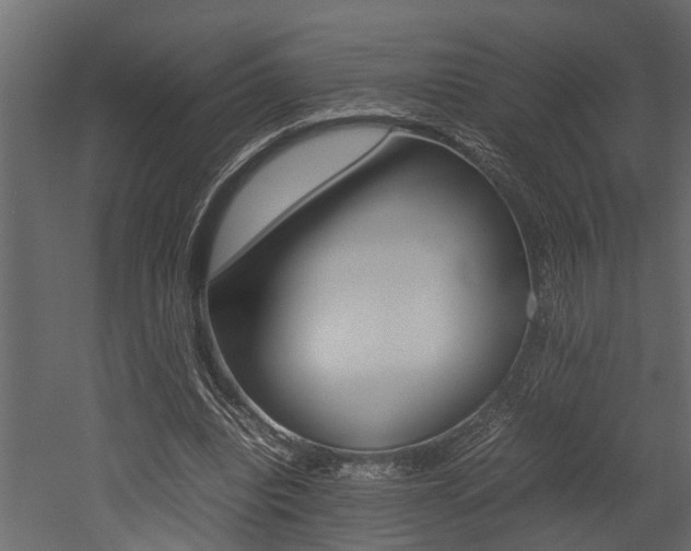 X0000052970440200507080926