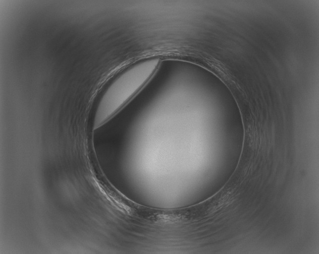 X0000052970442200507080926