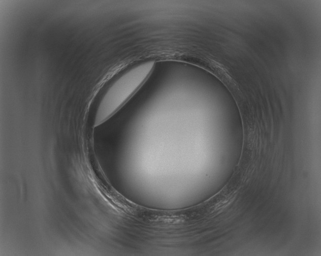 X0000052970443200507080926