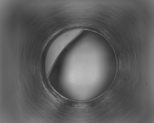 X0000052970444200507080926