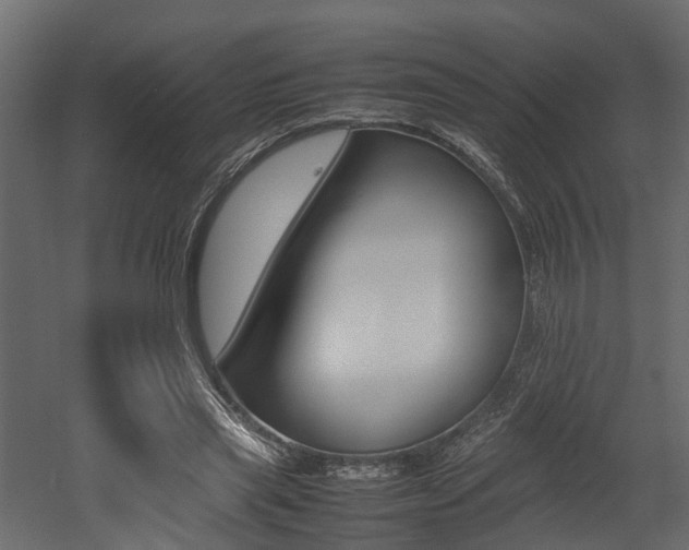 X0000052970445200507080926