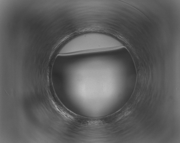X0000052970446200507080926