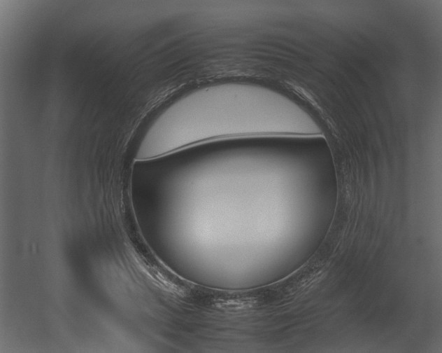 X0000052970447200507080926