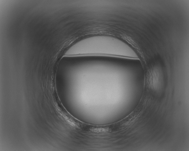 X0000052970449200507080926