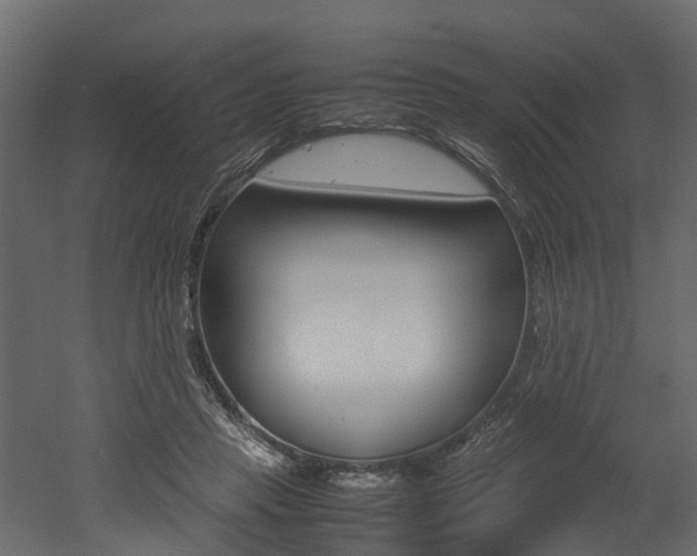 X0000052970453200507080926