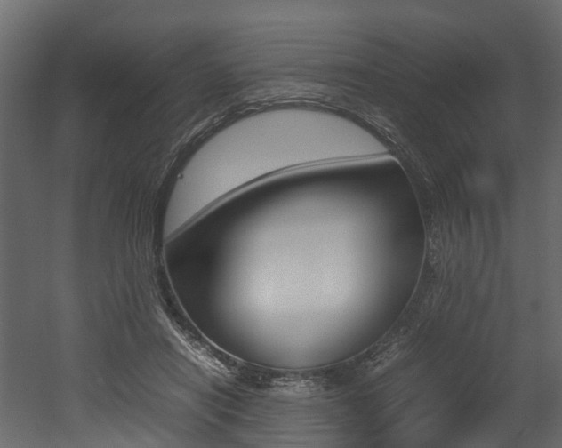 X0000052970454200507080926