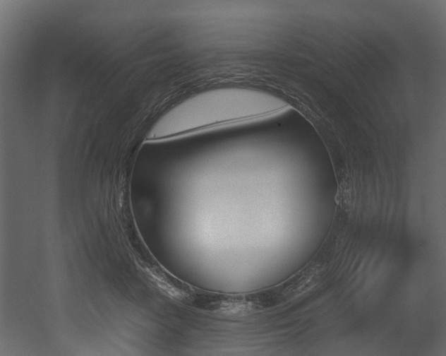X0000052970458200507080926