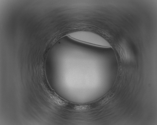 X0000052970461200507080926
