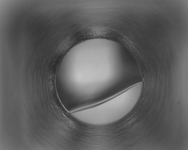 X0000052970462200507080926