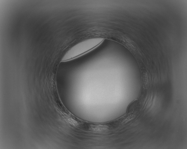 X0000052970463200507080926