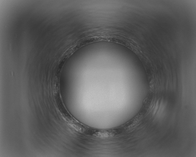X0000052970464200507080926