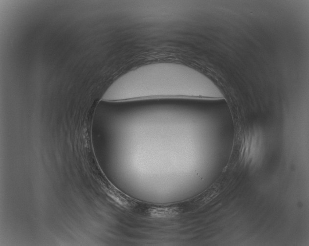 X0000052970465200507080926