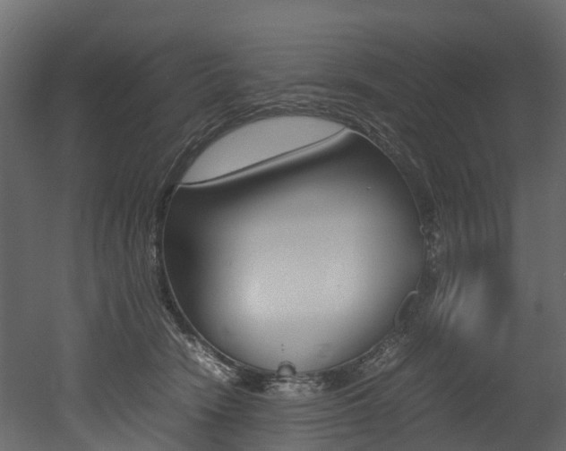 X0000052970466200507080926