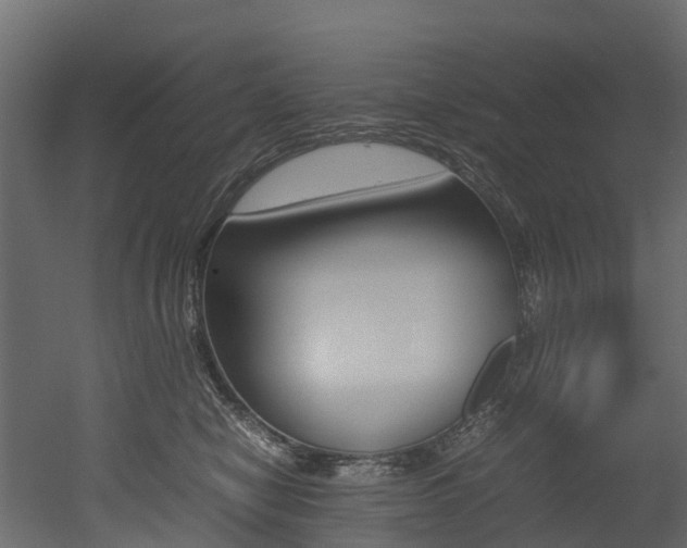 X0000052970470200507080926