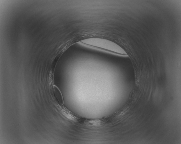 X0000052970478200507080927