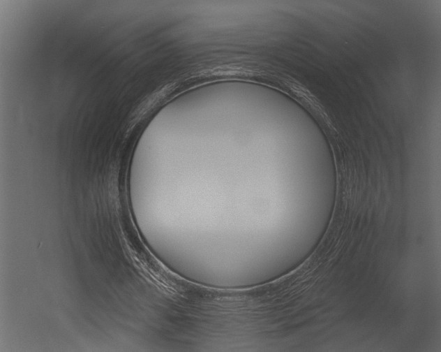 X0000052970482200507080926