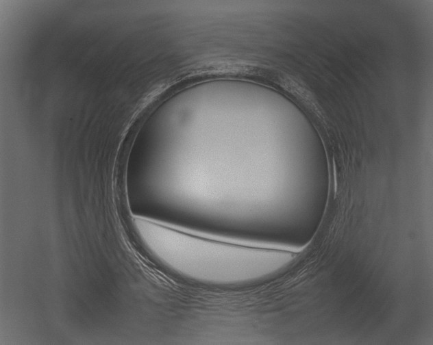 X0000052970483200507080926