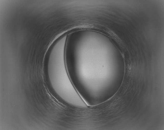 X0000052970484200507080926
