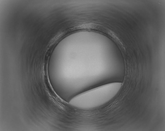 X0000052970486200507080926