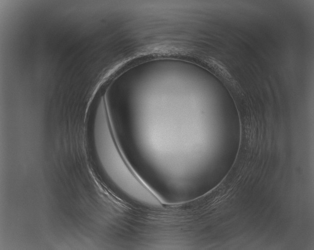 X0000052970488200507080926