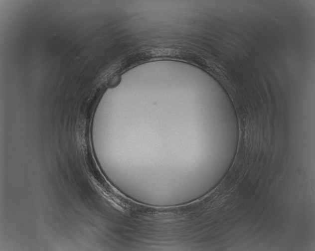 X0000052970490200507080926