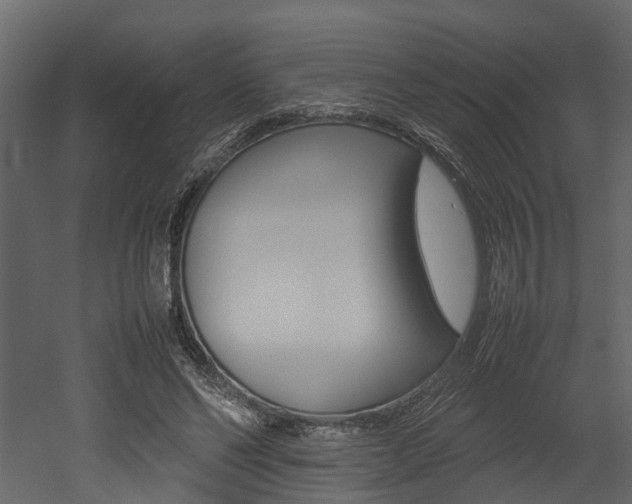 X0000052970494200507080926